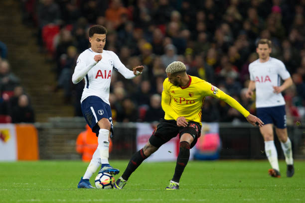 新老结合的 新老结合的