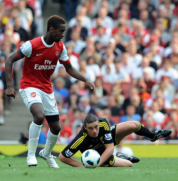 观赏性的冬 观赏性的冬