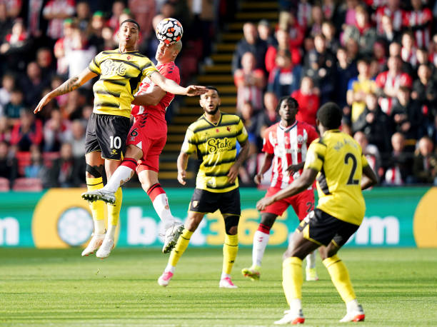 作为球迷 作为球迷