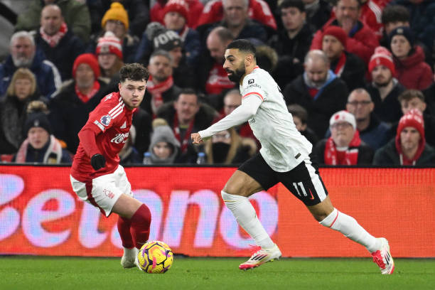 他们不仅希 他们不仅希